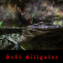Be$t Alligator